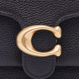 Bolsa Tabby Chain Clutch