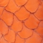 Mini Bag Dida Pirarucu