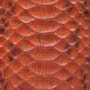 Mini Bag Dida Python